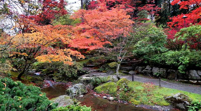 Seattle Japanese Garden