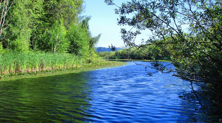 sammamish-river-seattle-and-sound