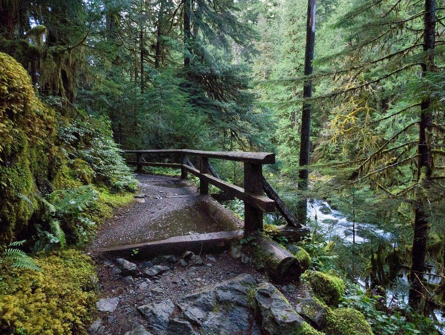 Lake Cushman | Seattle and Sound