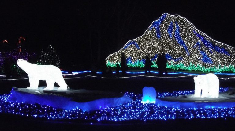 seattle zoo lights